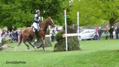 3 day eventing gifs | WiffleGif