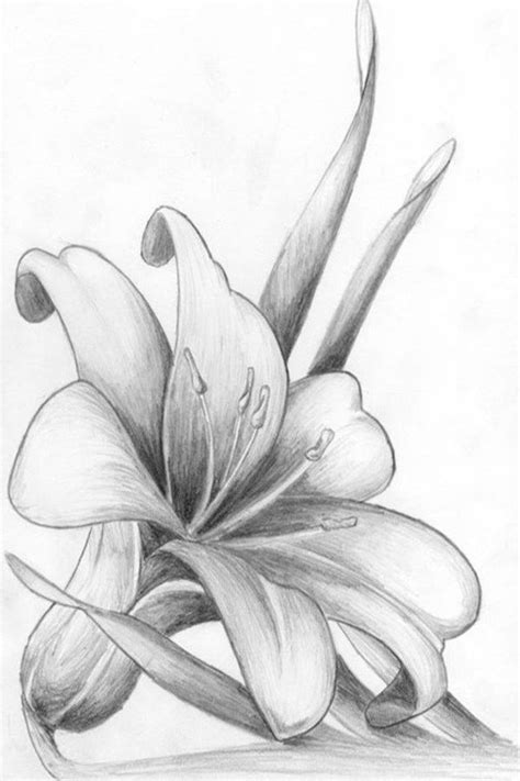 Drawing Pencil Flowers Easy #drawingtutorial #drawinganime # ...