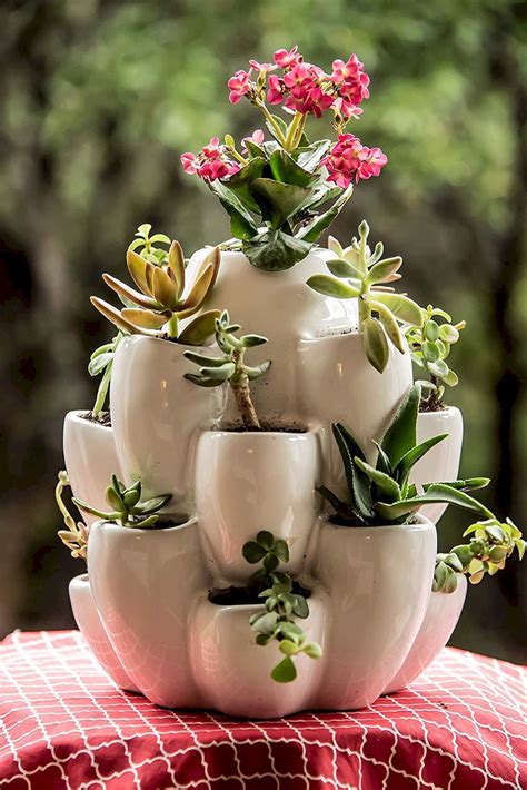 20+ Cute Pots For Succulents – DECOOMO