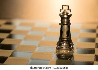 Silhouette King Rooke Chess Pieces Castling Stock Photo 1185147043 ...