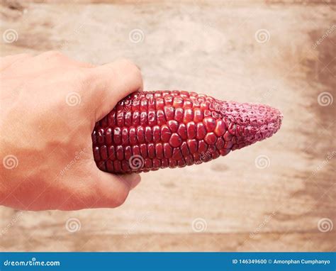 Peruvian Purple Corn. stock photo. Image of corn, design - 146349600