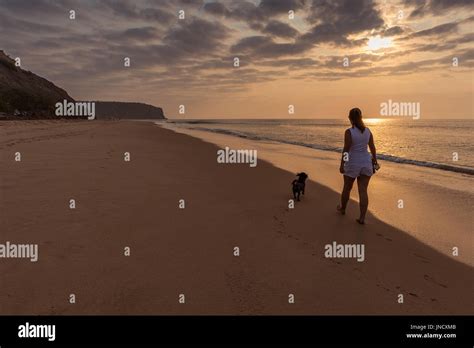 Girl walking with dog on the beach with sunset Stock Photo - Alamy