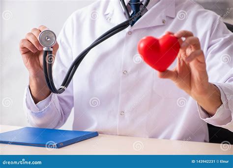 The Male Doctor Cardiologist Holding Heart Model Stock Image - Image of diagnostic, care: 143942231