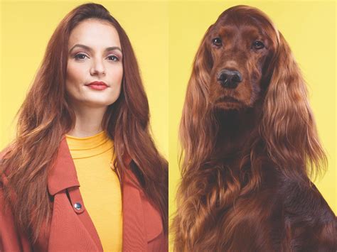 A photographer captured photos of 15 pairs of dogs and their owners that look hilariously alike ...