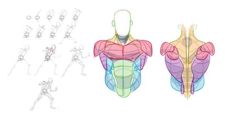 FIGURE PROCESS AND TORSO REF by HumanNature84.deviantart.com on ...