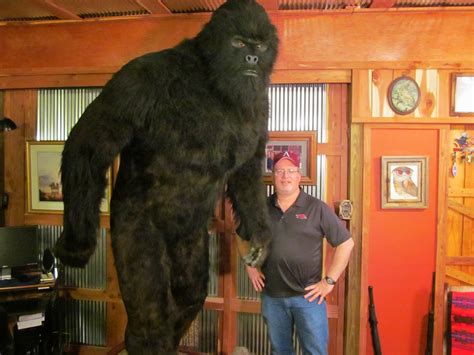 Ozarks' History: "Finding Bigfoot" in the Ozarks.