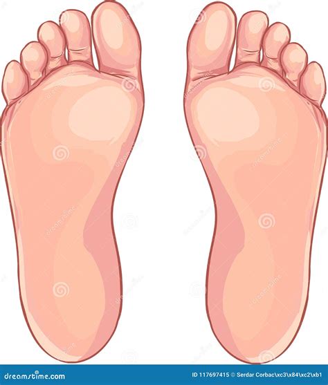 Human Foot Icon in Cartoon Style on a White Background Stock Vector - Illustration of lifestyle ...