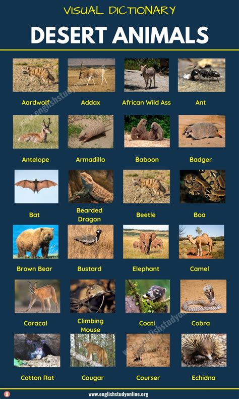 Desert Animals: List of 60+ Animals That Live in the Desert with Examples - English Study Online