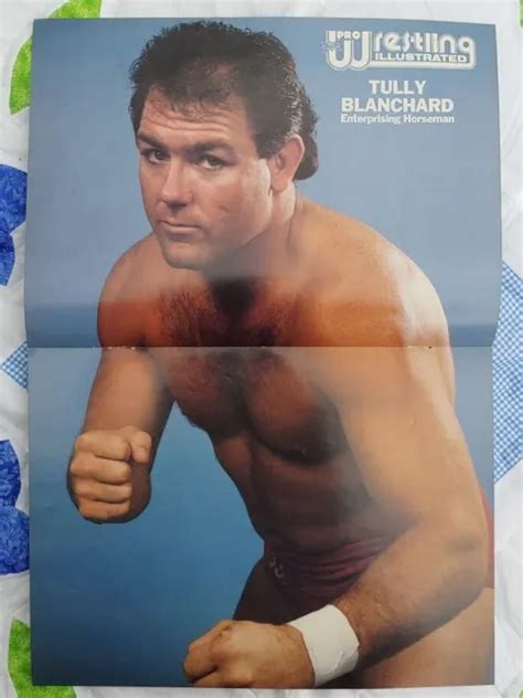 1980'S WRESTLING MAGAZINE WWF WWE WCW Double Sided Poster TULLY BLANCHARD HORSE $17.99 - PicClick