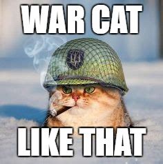 War cat - Imgflip