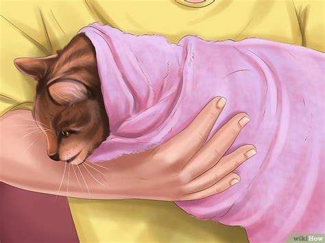 Katzen entwurmen – wikiHow Cat Worms, Types Of Worms, Heartworm, Veterinarian, Disney Characters ...