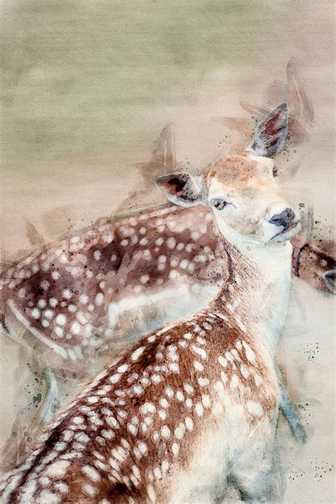 Watercolor painting of two beautiful female deer Digital Art by Sebastian Radu | Pixels