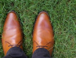 brown leather dress shoes free image | Peakpx