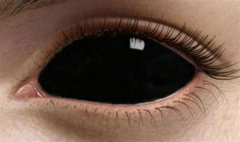 Completely Black Eye Contacts | donyaye-trade.com