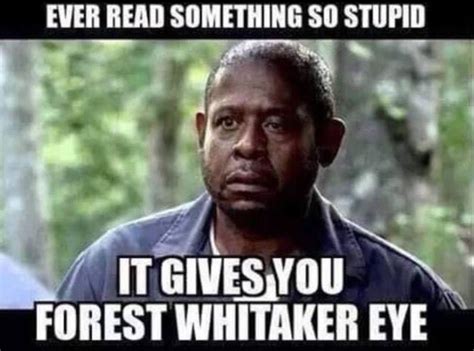 Forest Whittaker Memes Lol, Funny Jokes, Funniest Memes, It's Funny, Hysterical, Freaking ...