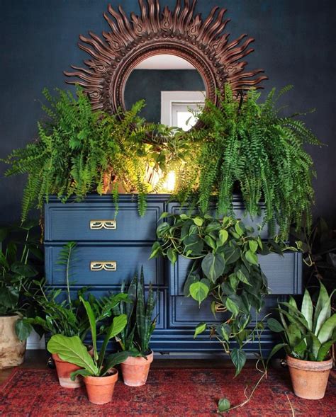 Walls: Behr Winter Way Dresser: Sherwin Williams Dark Night | Green wall color, Bedroom plants ...