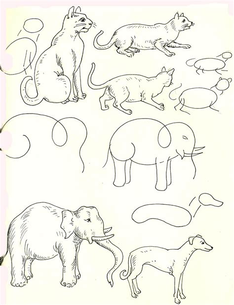 studentsdrawing: ANIMAL STEP BY STEP EASY OUTLINE DRAWING-ELEPHANT-CAT-DOG