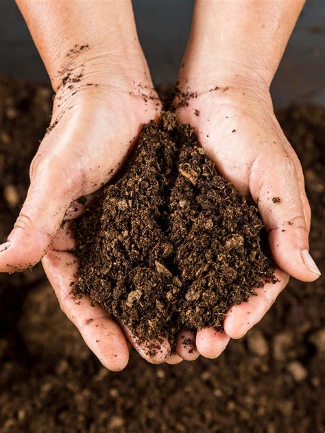 How to identify your soil type and how to rectify it. - Plantinfo