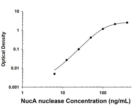 Benzonase Nuclease Antibody (2404D) [Unconjugated] (MAB100632): Novus Biologicals