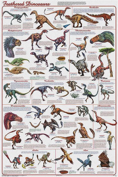 Dinosaur posters, Feathered dinosaurs, Animal drawings