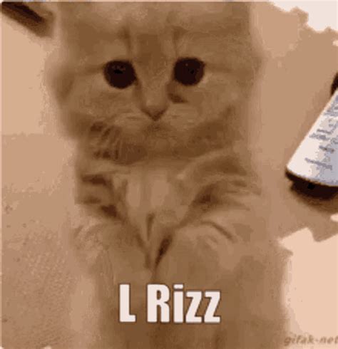 Rizz L Rizz GIF - Rizz L Rizz No Rizz - Discover & Share GIFs