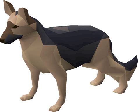 Dog - OSRS Wiki