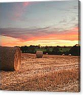 Sunset Over Field Of Hay Bales by Verity E. Milligan