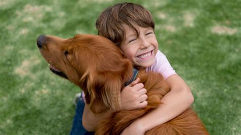 "Der tut nix!" Trotzdem wurden 800 Kinder von Hunden gebissen