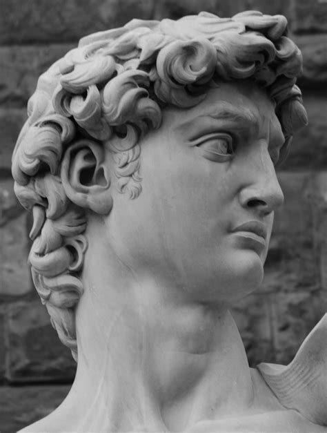 michelangelo david face - Поиск в Google Roman Sculpture, Art Sculpture ...