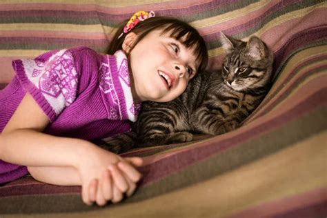 Girl sleeping with cat — Stock Photo © jentara #11051390