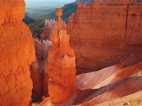 Free download | Standing Tall, landscape, standing, orange, rock, light, canyon, trees, nature ...