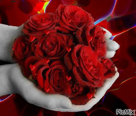 Gif Pictures, Love Pictures, Images Gif, Rose Garden, Flower Garden, 100 Red Roses, Crazy Life ...