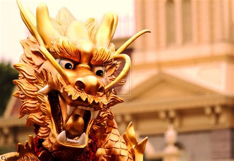 720x1280 resolution | gold-colored dragon statue, chinese dragon ...