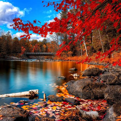 Awesome | Autumn scenery, Beautiful landscapes, Beautiful nature