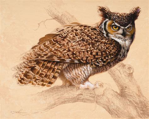 Great Horned Owl Painting at PaintingValley.com | Explore collection of ...