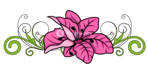 Decorative Flower Divider Vector Design Royalty-Free Stock Image - Storyblocks