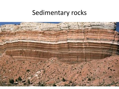 Sedimentary Rock Types
