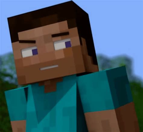 Steve (Element Animation) | Minecraft Animation Wiki | Fandom