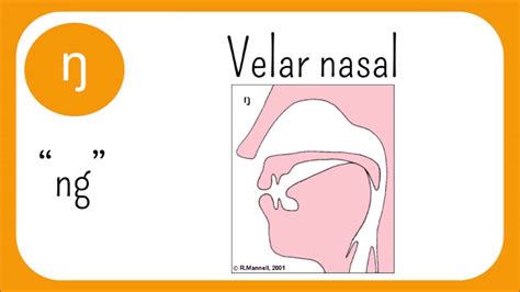 The Sounds Of English, Episode 3: Nasals and Approximants (Sonorants) - YouTube