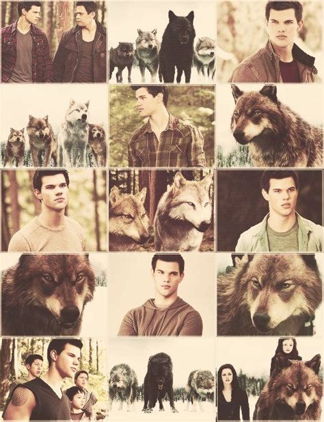 twilight wolf pack tumblr - Google Search | Twilight wolf pack, Twilight jacob, Cartoon mädchen