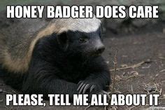 46 Best Honey badger meme ideas | honey badger, badger, honey badger meme