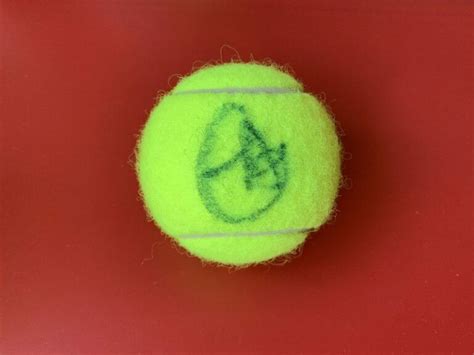 Ajla Tomljanovic Tennis Penn Tennis Ball Signed Auto Opens in a new window or tab | Autographia