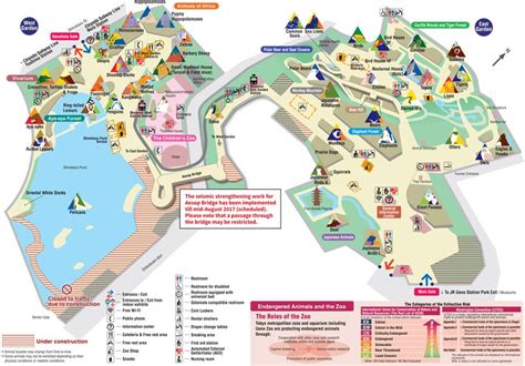 Ueno Zoo Map / Ueno Planet For Exhibition By Haruka Misawa Architecture ...