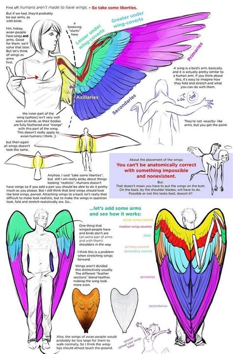 Pin by Dirtbag Hero on Reference | Anatomy art, Wings drawing, Wings art