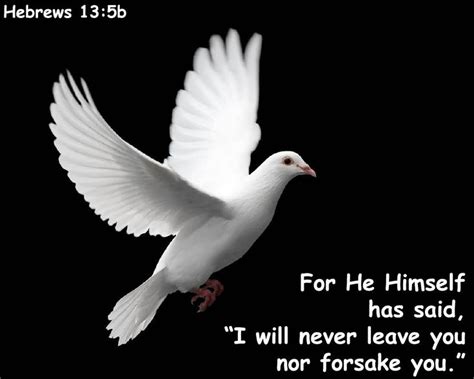 Bible_quoted_pics's image | Dove pictures, Dove flying, White pigeon