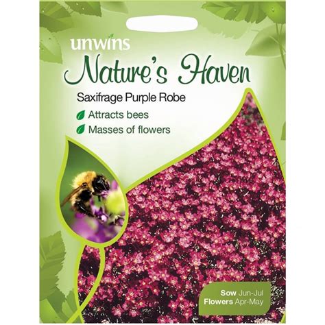 Natures Haven Saxifrage Purple Robe Seeds