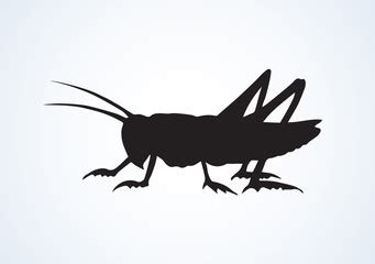 Cricket Insect Vector at Vectorified.com | Collection of Cricket Insect ...