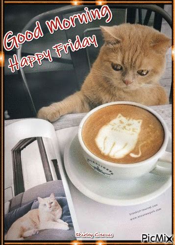 Cat Coffee Happy Friday Good Morning Gif Pictures, Photos, and Images for Facebook, Tumblr ...