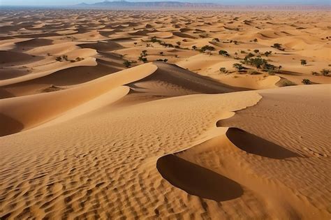 Premium Photo | Desert of North Africa sandy barkhans