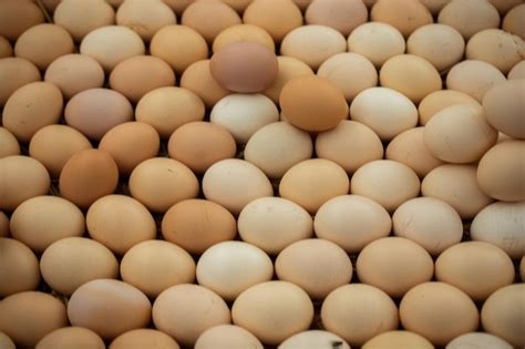 Premium Photo | Organic fresh farm eggs at the market place